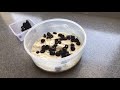 OLIVES CIABATTA شيباتا الزيتون 