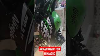 MANASIN NINJA 250 | akraprovic