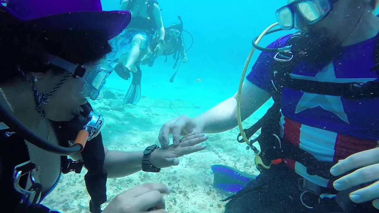 Texas Wesleyan scuba graduate proposes underwater YouTube