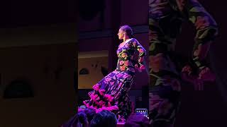 Flamingo Show Intensity