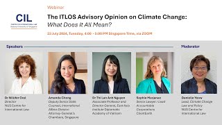 The ITLOS Advisory Opinion on Climate Change: What Does It All Mean