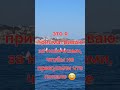 Четыре малыша:) #auction #automobile #автомобильнаторгах #купитьавто #авто #yacht #yachtlife