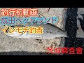 【イシモチ】釣行初動画【ヘッドランド】 の動画、YouTube動画。