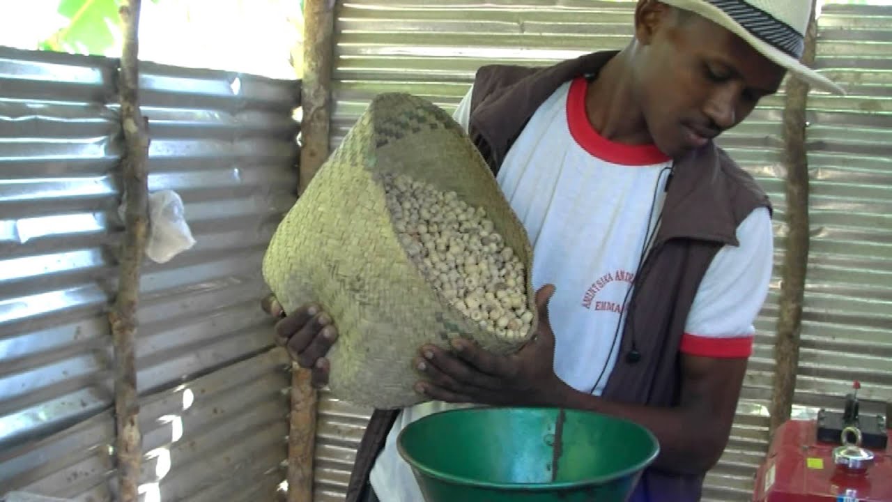 L'huile de baobab à Tuléar