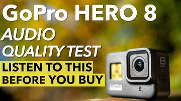 GoPro Hero 8 Audio Quality Test and comparison (Gopro Hero8 vs Hero7)