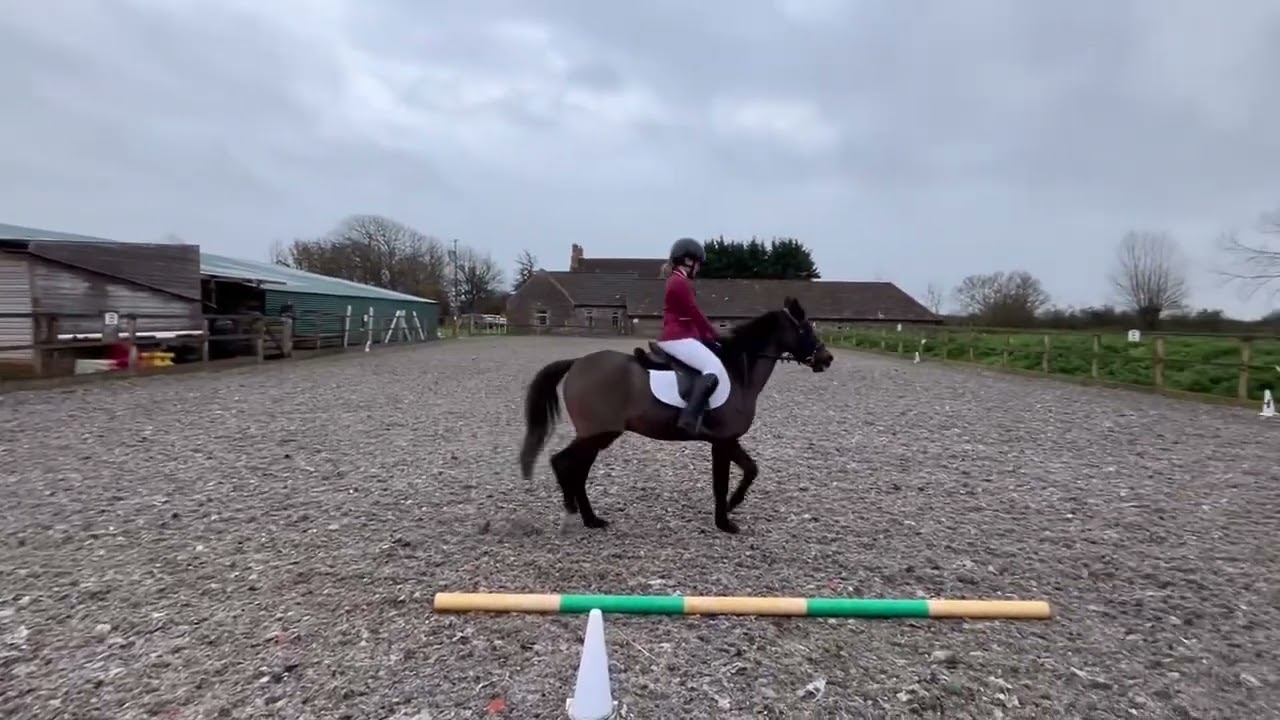 Mia Forever Beau intro