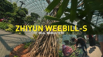ZHIYUN WEEBILL-S Real World Test | Tutorial