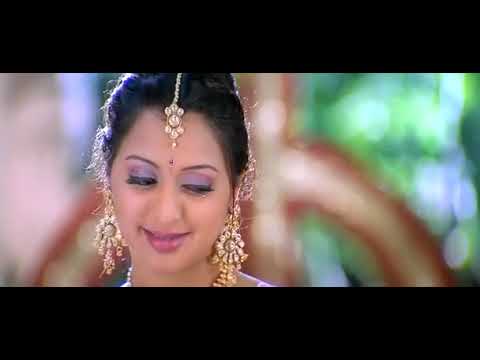 Poo Pola Man  Pola Tamil HD Video Song | Vaseegara Movie |VIJAY