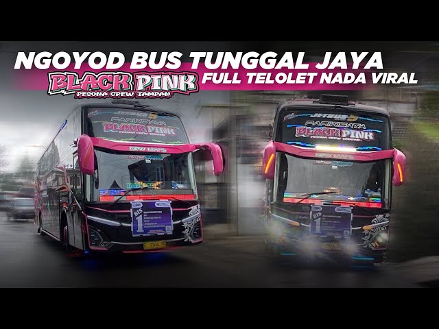 NADA VIRAL BIKIN GEMPAR PANGALENGAN‼️JETBUS 5 MBOISNYA TUNGGAL JAYA “BLACK PINK”😍CORONG ATAS CUY🥵 class=