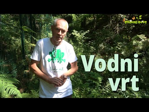 Video: Kako Smo Ustvarili Vodni Vrt