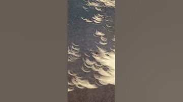 Annular Eclipse from under a tree. I