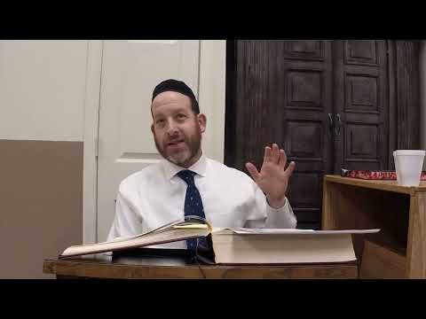 Daf Yomi Chullin 100 (cycle 13) | Rabbi Shmuel Silber
