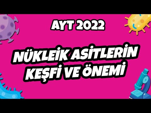 Video: Erwin Chargaff neyi keşfetti?