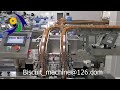 Automatic biscuit packing line