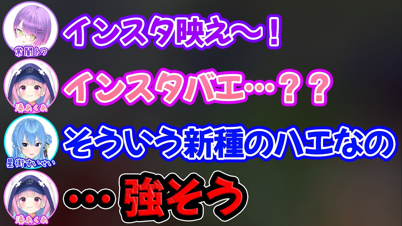 陰キャ過ぎてインスタ映えをガチで知らず新種のハエと本気で思いこむ湊あくあ【ホロライブ/ホロライブ切り抜き】