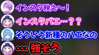 陰キャ過ぎてインスタ映えをガチで知らず新種のハエと本気で思いこむ湊あくあ【ホロライブ/ホロライブ切り抜き】