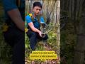 Bamboo Cutting Made Easy: The Ultimate Tool!