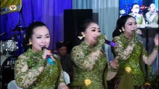 SARGENAN GAYENG | LINTANG ASMORO SESIDEMAN BOCAH GUNUNG - CAMPURSARI CANDRA PESONA COKEK MANIA