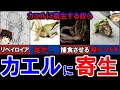 【ゆっくり解説】カエルに寄生するとんでもない寄生虫たち！