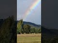 Das war so ein crazy Moment #deutschland #zocktsagt #nature