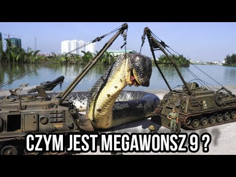 MEGAWONSZ 9 - CIEKAWOSTKI O HODOWLI HETERODONA W DOMU