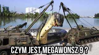 YouTube video SDfZViawBnA