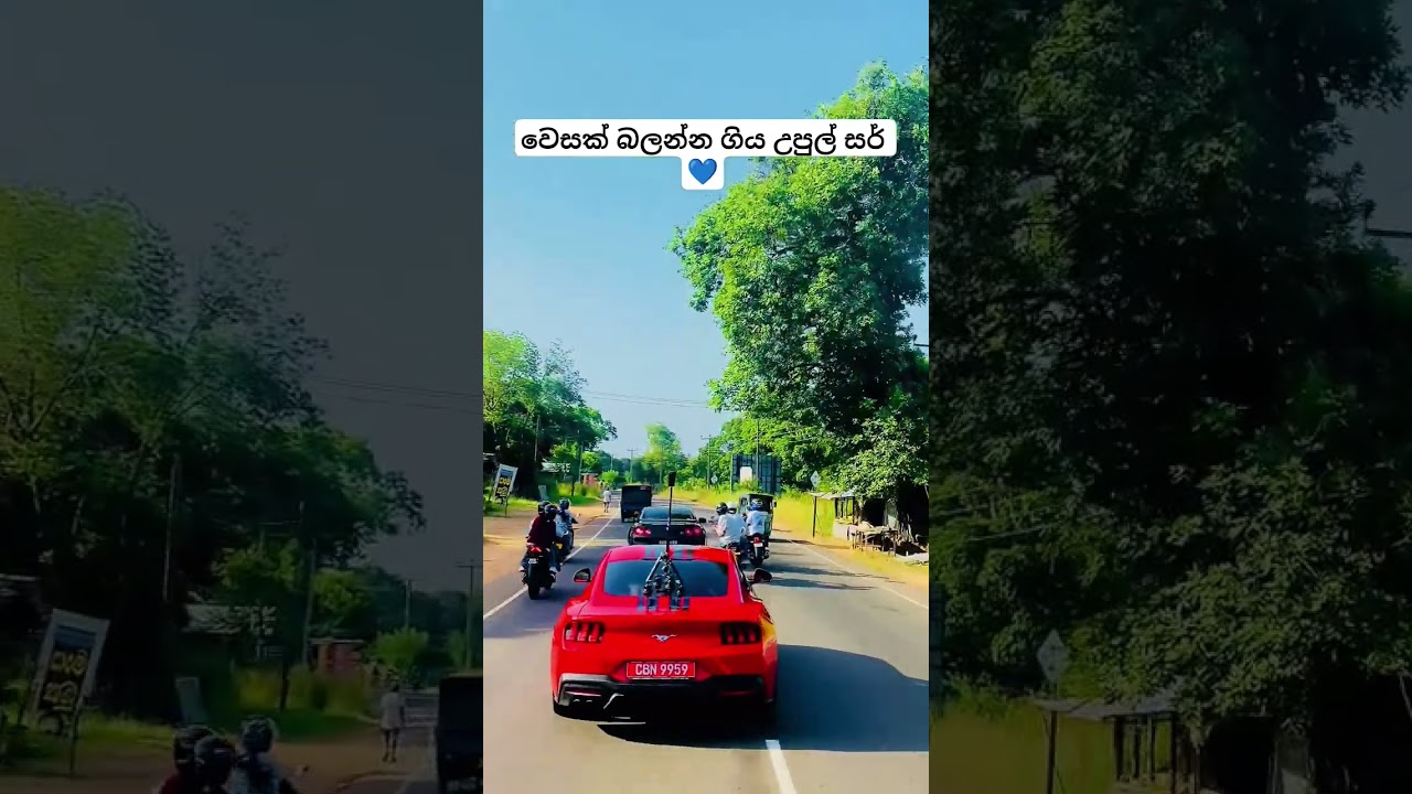 වෙසක් බලන්න ගිය උපුල් සර් 💙 @UpulWeerasingheSFT #upulweerasinghe #godzilla #gtrr35 #supercars
