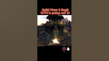 guild wars 2 bug wtf? #guildwars2 #bug #bugs #guildwarsgameplay #crazy #funny #mmorpg #amazing #wtf