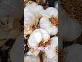 🤕Це КРІНЖОВІ методи боротьби з кашлем #shorts