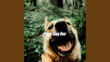 Pulsating Moods for Cool Dog