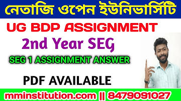 SEG 1 ASSIGNMENT LIVE VIDEO | BDP 2ND YEAR | PDF DOWNLOAD | MM INSTITUTION