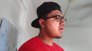 Hello - Adele (freestyle by lowkey lokz)