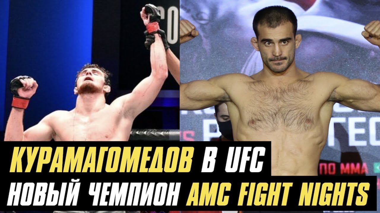 Чемпиону UFC бросили вызов, Курамагомедов в UFC, новый чемпион AMC FIGHT NIGHTS