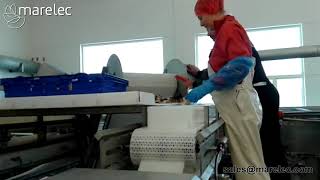 Grading Marelec 2Mc3 6 Crab Legs