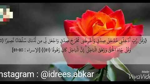 وقل ربِ أدخلني مدخل صدق#تلاوة للقاريء الشيخ#إدريس_أبكر من#سورة_الإسراء