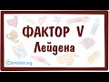 Фактор V Лейдена  — причины, симптомы, патогенез, диагностика, лечение