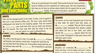 8 grade  module 6f Tree parts and functions