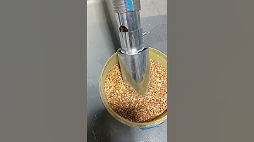 Self-Priming Corn Crusher in Action | One-Step Suction & Fine Grinding for Farms #feedpelletmachine