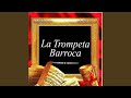 Miniature de la vidéo de la chanson Trumpet Concerto In D Major, Twv 51:D7: I. Adagio