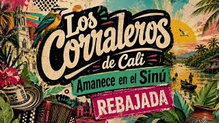 Los Corraleros de Cali - Amanece en el Sinú REBAJADA #cumbia #cdmx #colombia #puebla #monterrey