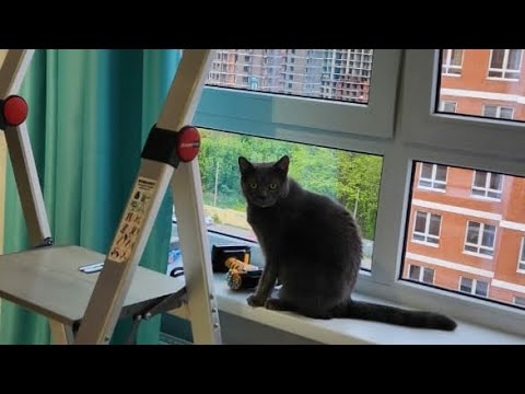 Какие рулонные шторы