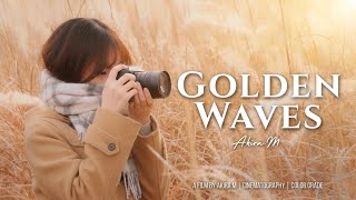 Nikon ZR with Hasselblad - Japan Autumn - Golden Waves: Hakone Sengokuhara Susuki (4K) Nikon ZR with Hasselblad - Japan Autumn - Golden Waves: Hakone Sengokuhara Susuki (4K)