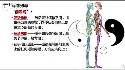 解剖列车10 - 前表线：赋予人类独特 - 天天要闻