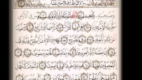 سورة المعارج بصوت الشيخ سالم بن سعد الطويل.