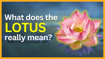 The Hidden Symbolism and Meaning of the Lotus Flower | SymbolSage
