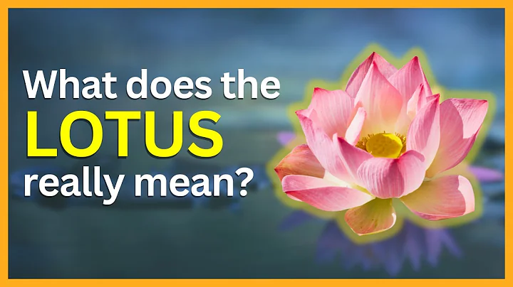 The Hidden Symbolism and Meaning of the Lotus Flower | SymbolSage - DayDayNews