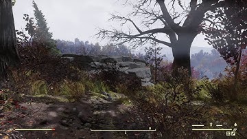 1st Time seeing a Mothman in Fallout 76