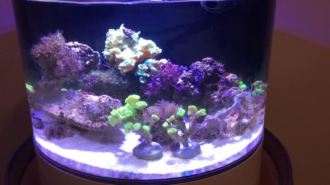 innovative marine nuvo concept