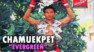 Chamuekpet Hapalang "Evergreen" Highlight | Muay Thai