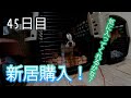 【45日目】それぞれの新居購入！バリケンネルのサイズMがちょうど良い？